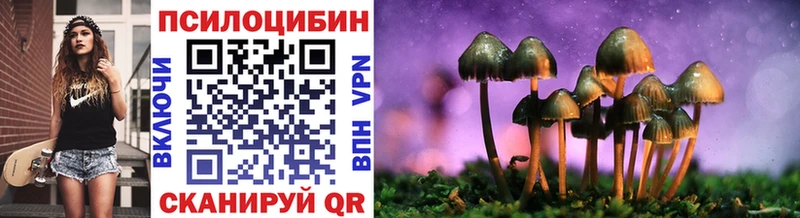 Галлюциногенные грибы Psilocybe Учалы